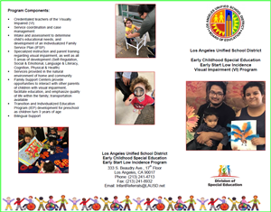 Visual Impairment Program Brochure 